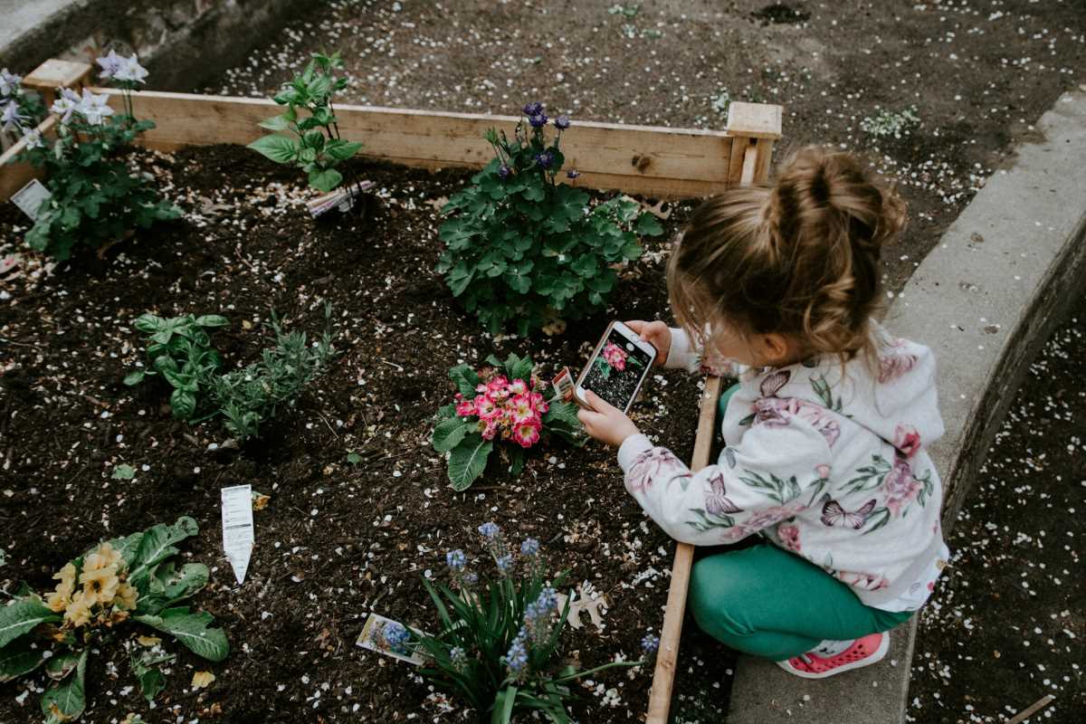 Essential Supplies and Tools for a Successful Vegetable Garden